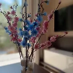 Appartement μπουκαμβίλια - Bougainvillea