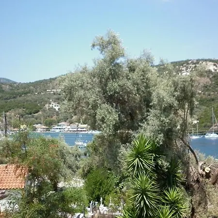 μπουκαμβίλια - Bougainvillea Sývota