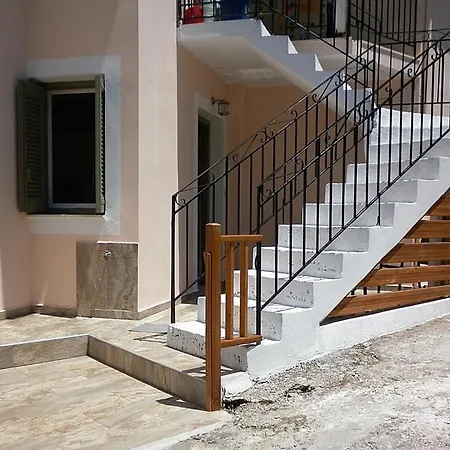 μπουκαμβίλια - Bougainvillea Сивота