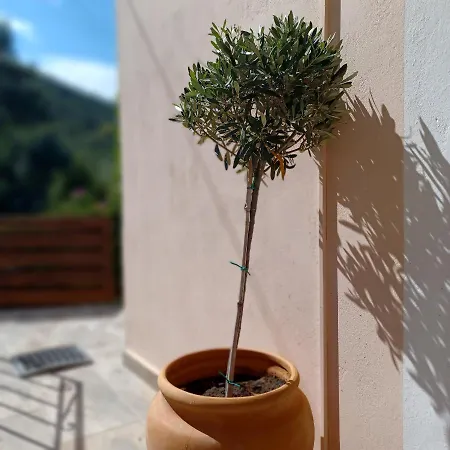 μπουκαμβίλια - Bougainvillea Apartment Sivota (Lefkada)