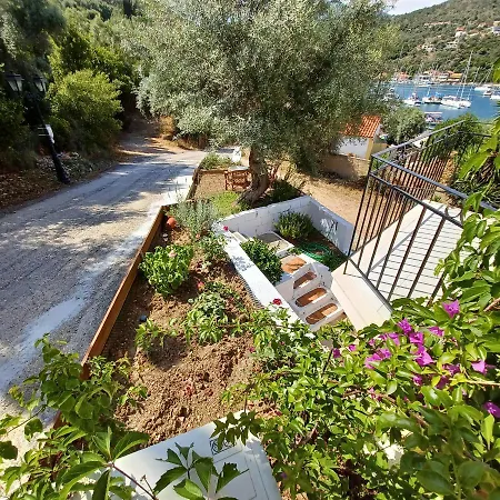 μπουκαμβίλια - Bougainvillea