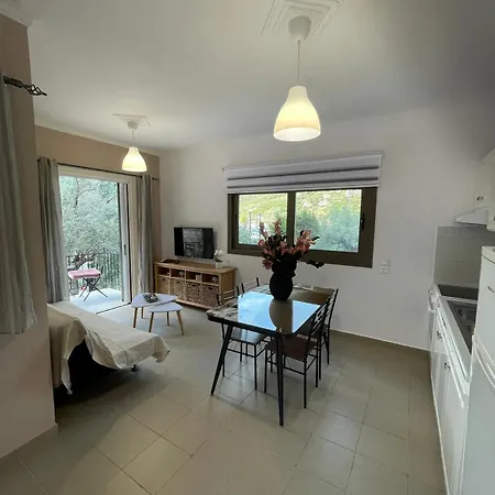 Apartamento μπουκαμβίλια - Bougainvillea Sivota