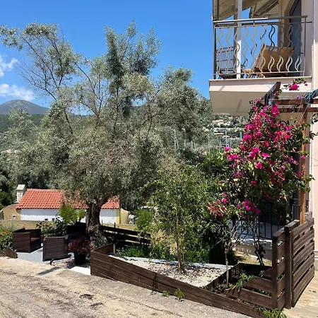 μπουκαμβίλια - Bougainvillea 시보타