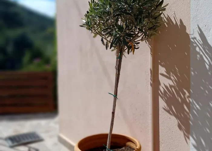 μπουκαμβίλια - Bougainvillea Апартаменты Сивота